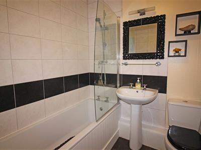 Picture 8